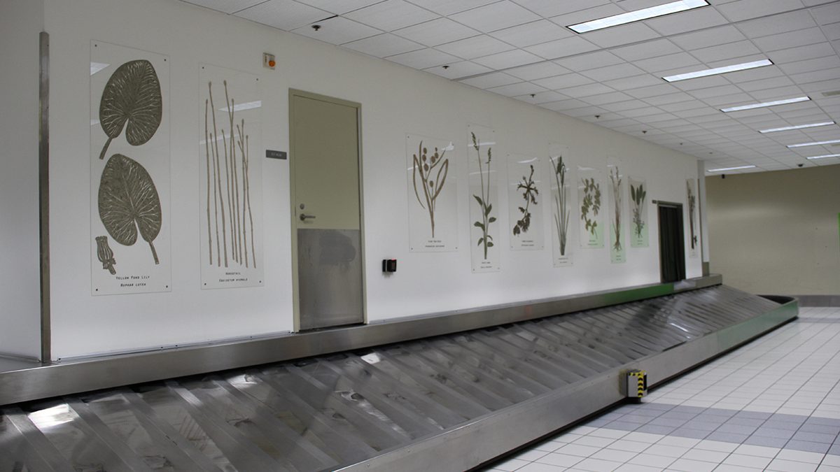 New Murals Greet Passengers at Terminal 2 Baggage Claim - St. Louis Lambert International Airport