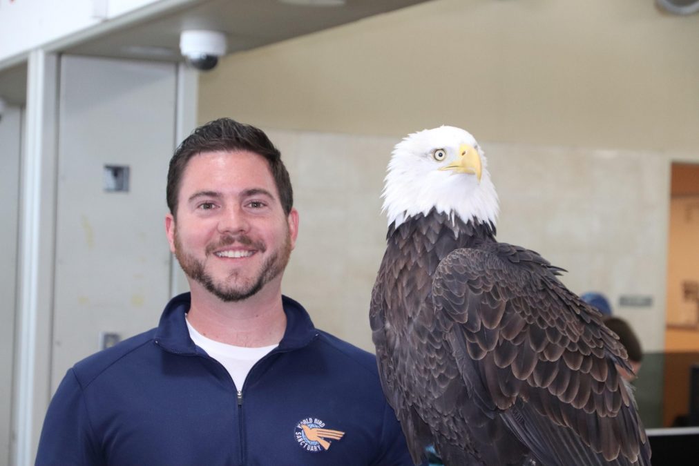 Clark, a bald eagle, sits on the arm of his handler, Daniel, who smiles at the camera.