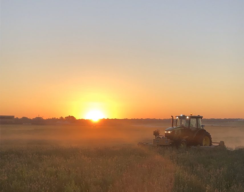 A tractor is mowing a grassy field at sunrise, with the sun low on the horizon casting a warm, golden light. Dust and haze rise from the ground, illuminated by the sunlight, creating a soft, glowing effect. The field extends into the distance, with faint silhouettes of buildings and trees at the edge of the scene.
